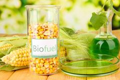 Afton biofuel availability